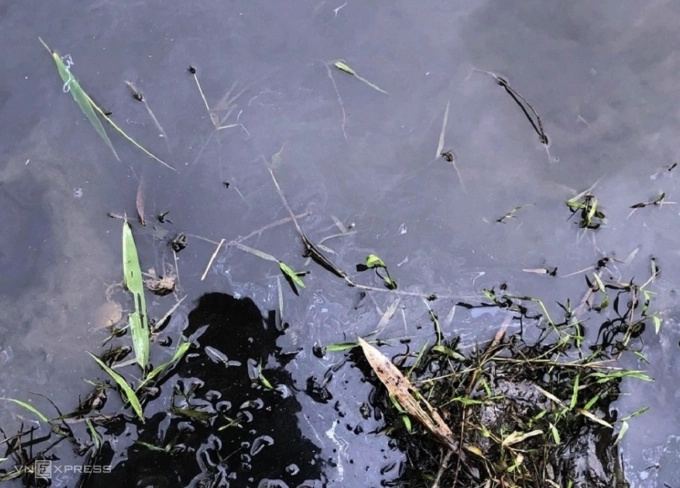 4 NHÀ HÀNG XẢ NƯỚC THẢI RA MÔI TRƯỜNG BỊ PHẠT HƠN 500 TRIỆU ĐỒNG