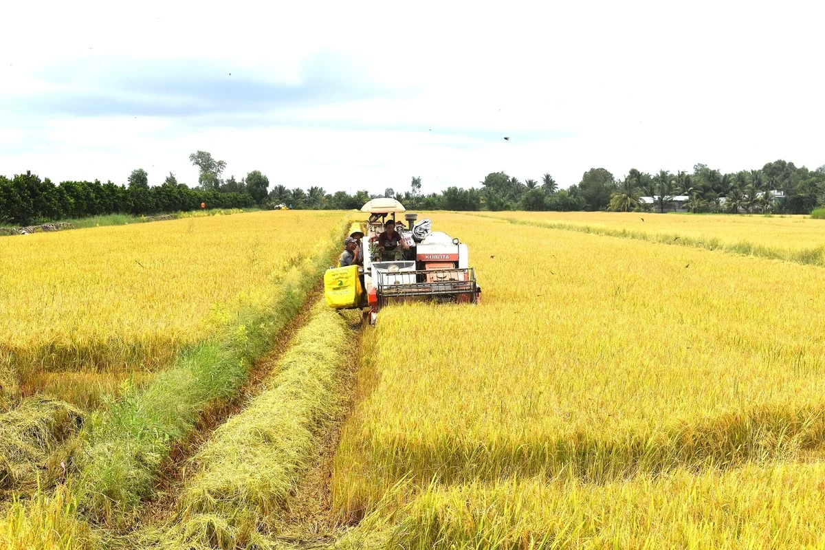 VĨNH LONG TRIỂN KHAI QUY ĐỊNH MỚI VỀ GIẢM PHÁT THẢI VÀ THỊ TRƯỜNG CÁC-BON