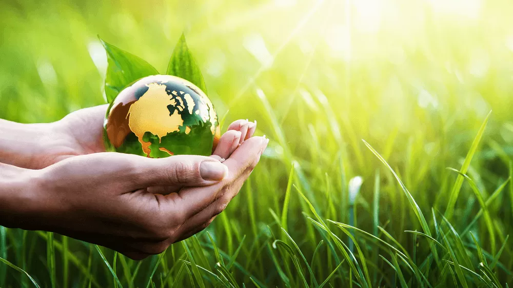 QUẢN LÝ VÀ KIỂM TOÁN MÔI TRƯỜNG