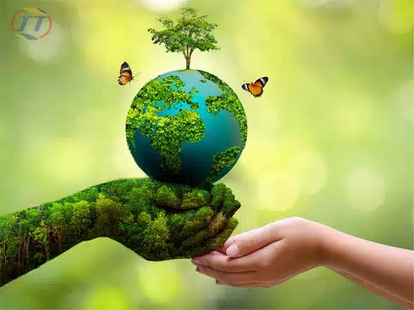 QUAN TRẮC MÔI TRƯỜNG