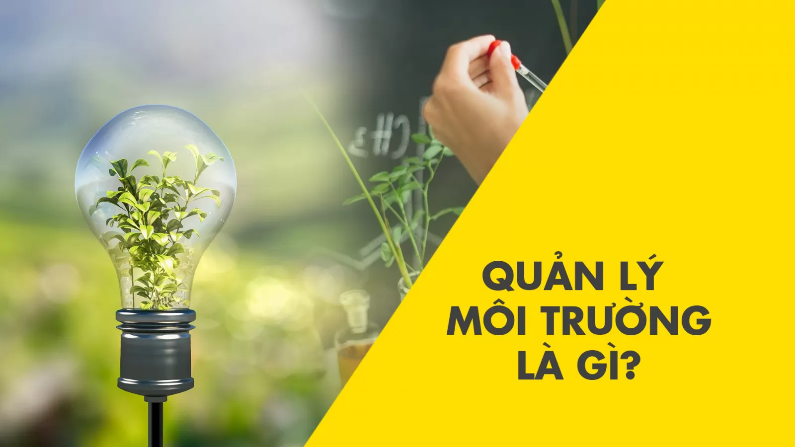 QUẢN LÝ MÔI TRƯỜNG NHÀ MÁY LÀ GÌ?